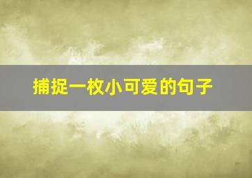 捕捉一枚小可爱的句子