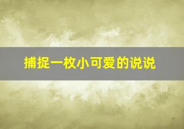 捕捉一枚小可爱的说说