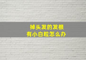 掉头发的发根有小白粒怎么办