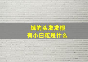 掉的头发发根有小白粒是什么