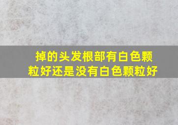 掉的头发根部有白色颗粒好还是没有白色颗粒好