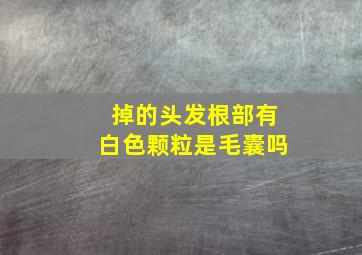 掉的头发根部有白色颗粒是毛囊吗