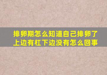 排卵期怎么知道自己排卵了上边有杠下边没有怎么回事