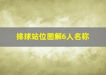 排球站位图解6人名称