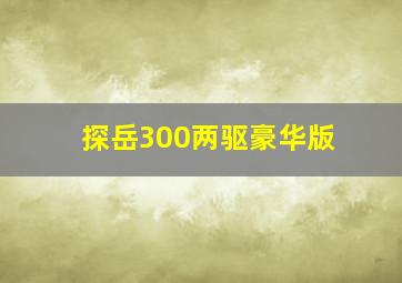 探岳300两驱豪华版