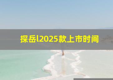 探岳l2025款上市时间