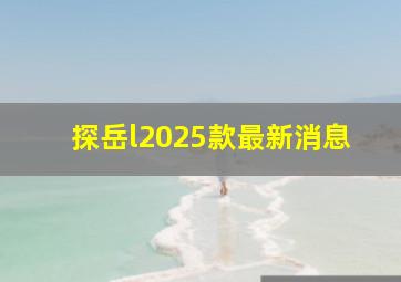 探岳l2025款最新消息