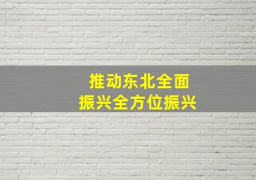 推动东北全面振兴全方位振兴