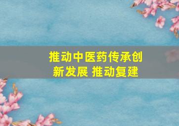 推动中医药传承创新发展 推动复建