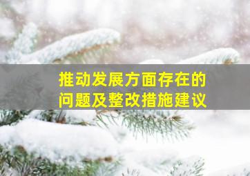 推动发展方面存在的问题及整改措施建议