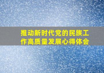 推动新时代党的民族工作高质量发展心得体会