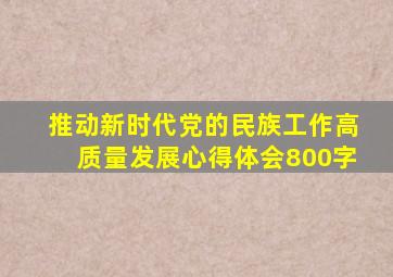 推动新时代党的民族工作高质量发展心得体会800字