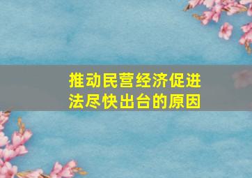 推动民营经济促进法尽快出台的原因