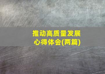 推动高质量发展心得体会(两篇)