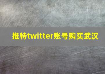 推特twitter账号购买武汉