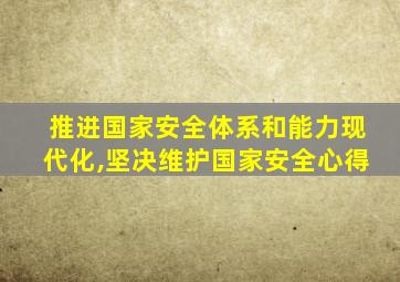 推进国家安全体系和能力现代化,坚决维护国家安全心得