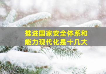 推进国家安全体系和能力现代化是十几大