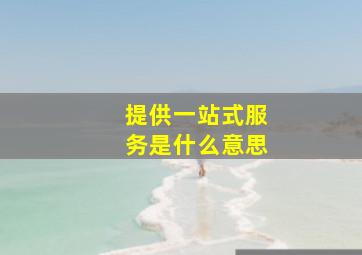 提供一站式服务是什么意思