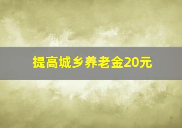 提高城乡养老金20元