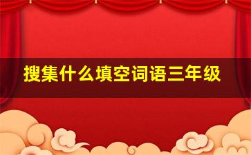 搜集什么填空词语三年级