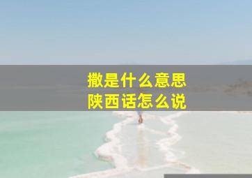 撒是什么意思陕西话怎么说