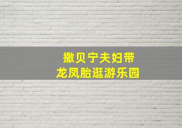 撒贝宁夫妇带龙凤胎逛游乐园