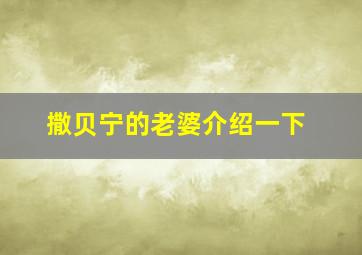 撒贝宁的老婆介绍一下