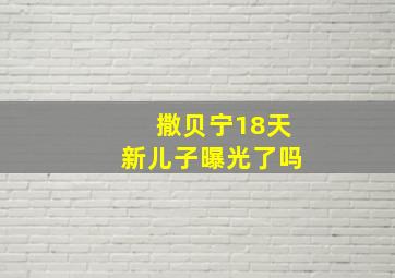 撒贝宁18天新儿子曝光了吗