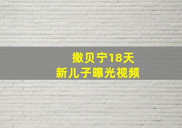 撒贝宁18天新儿子曝光视频