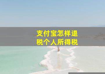 支付宝怎样退税个人所得税