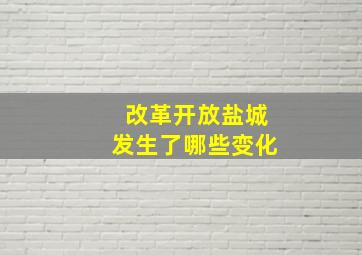 改革开放盐城发生了哪些变化