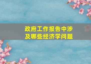 政府工作报告中涉及哪些经济学问题