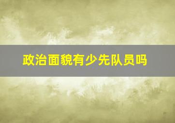 政治面貌有少先队员吗