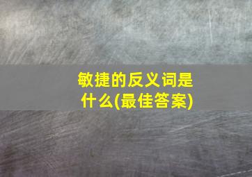 敏捷的反义词是什么(最佳答案)