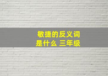 敏捷的反义词是什么 三年级