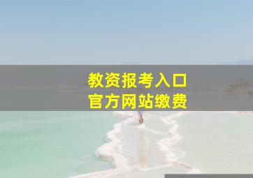 教资报考入口官方网站缴费