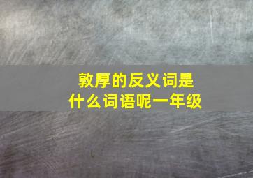 敦厚的反义词是什么词语呢一年级