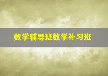 数学辅导班数学补习班