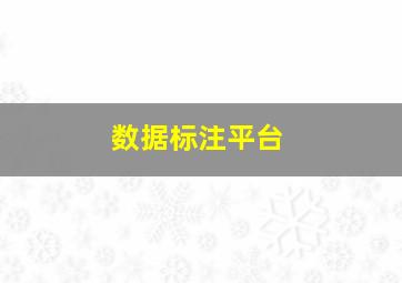 数据标注平台