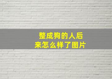 整成狗的人后来怎么样了图片