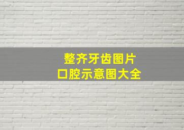 整齐牙齿图片口腔示意图大全