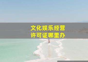 文化娱乐经营许可证哪里办