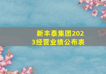 新丰泰集团2023经营业绩公布表