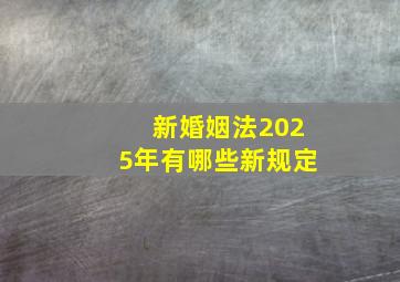 新婚姻法2025年有哪些新规定