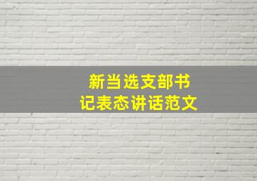 新当选支部书记表态讲话范文