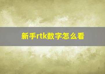 新手rtk数字怎么看