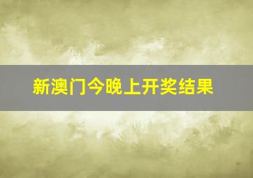 新澳门今晚上开奖结果