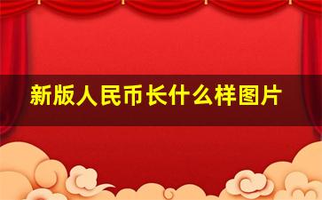 新版人民币长什么样图片