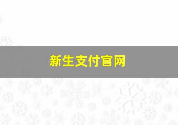 新生支付官网