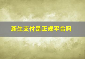 新生支付是正规平台吗